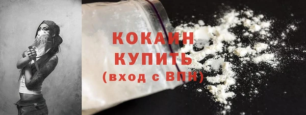 прущие грибы Абинск
