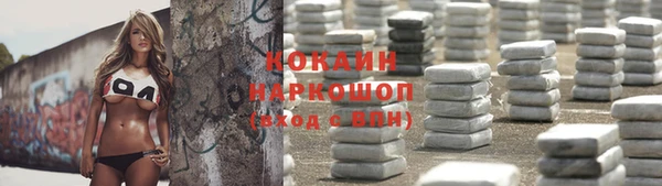 прущие грибы Абинск