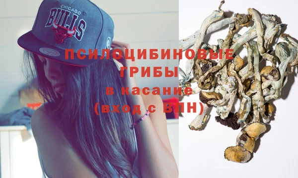 прущие грибы Абинск
