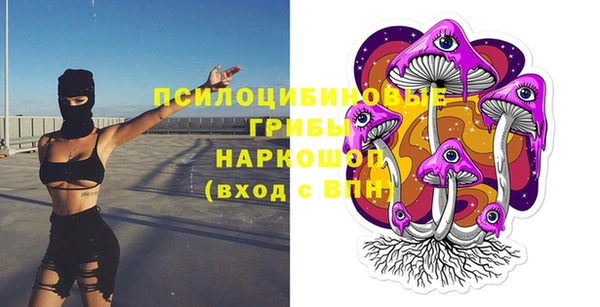 ECSTASY Михайлов