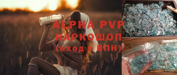 прущие грибы Абинск