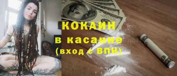 прущие грибы Абинск